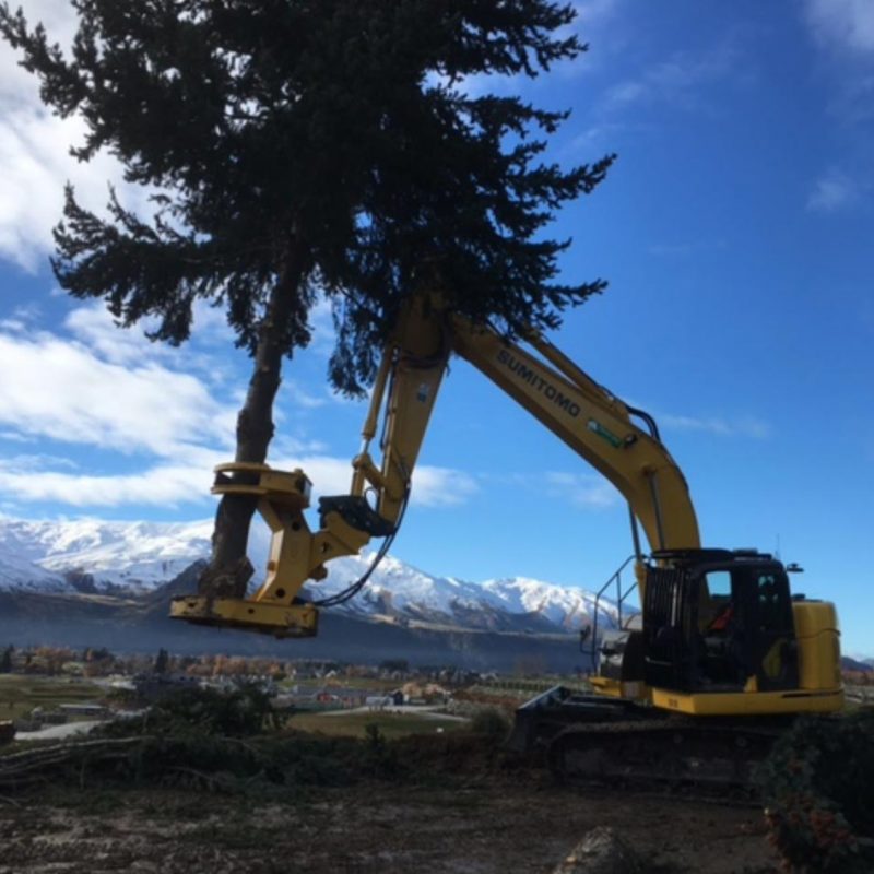 Tree-Removal-1
