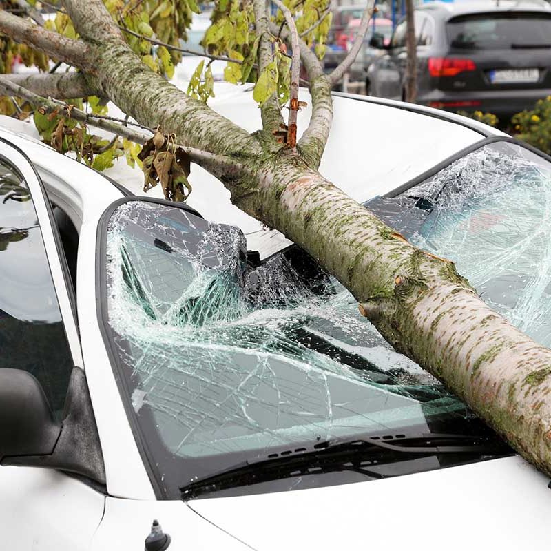damaged car