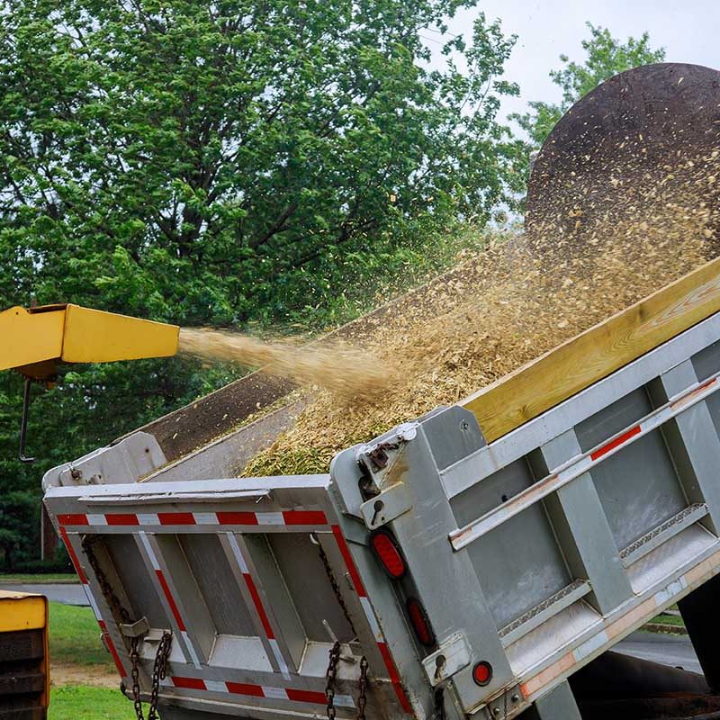 A wood chipper at work machinery, wood shredder placed in the intake chute for chipping after an unexpected hurricane storm