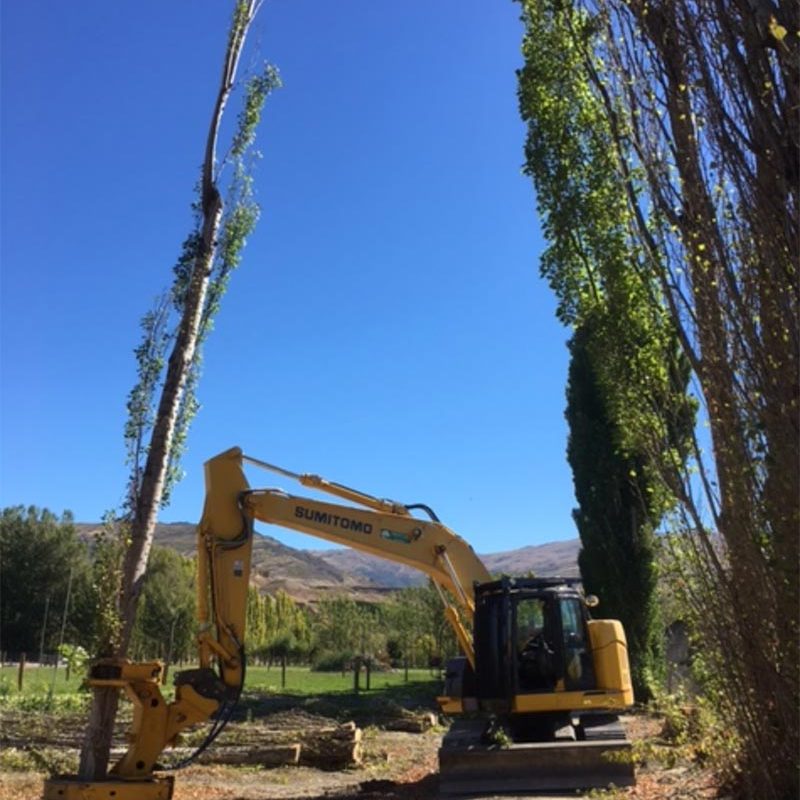 TreeRemoval